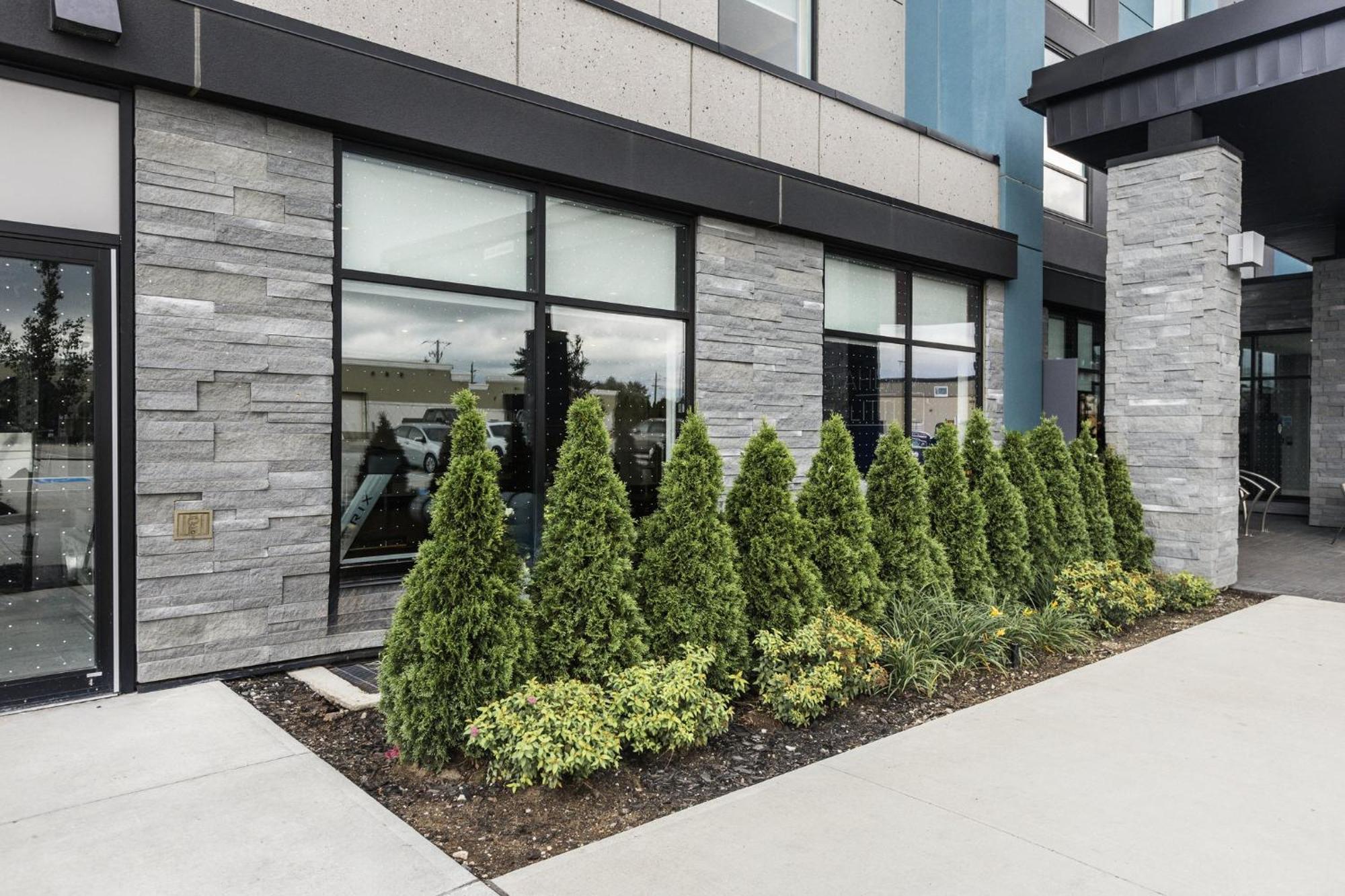 Holiday Inn Express & Suites - Toronto Airport South By Ihg Eksteriør billede